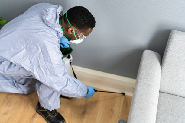 Best Residential Pest Control  in Bedford, VA